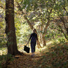 The Aurora Carryall
